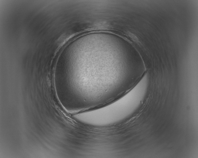 X0000051901212200507011458