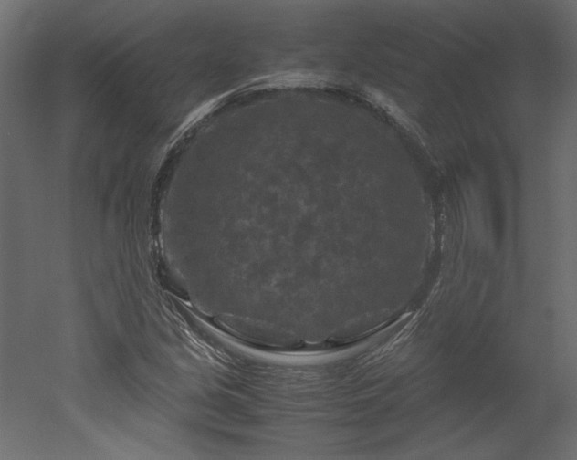 X0000051901213200507011458