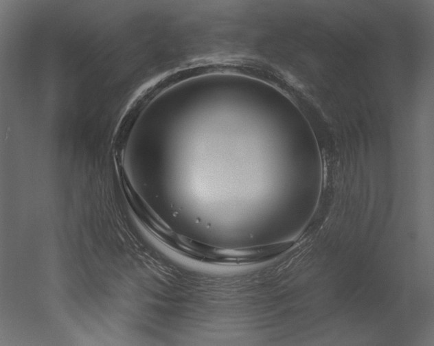 X0000051901214200507011458
