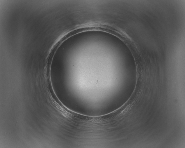 X0000051901216200507011458