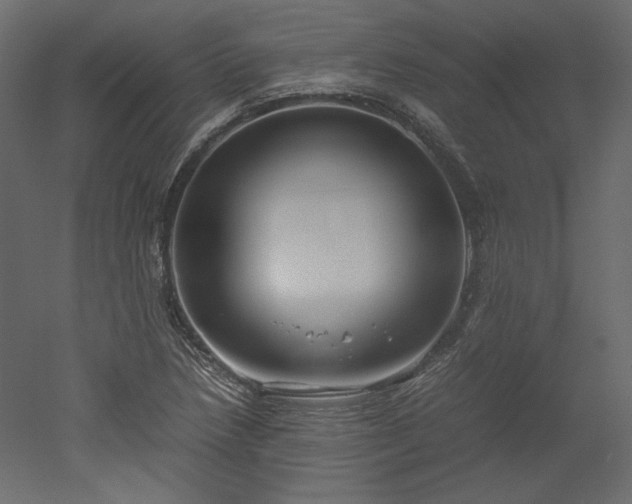 X0000051901218200507011458