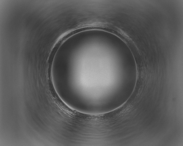 X0000051901222200507011458
