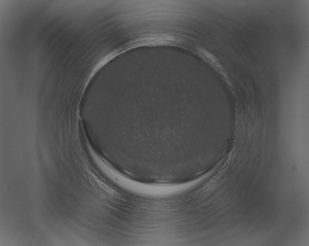 X0000051901226200507011458
