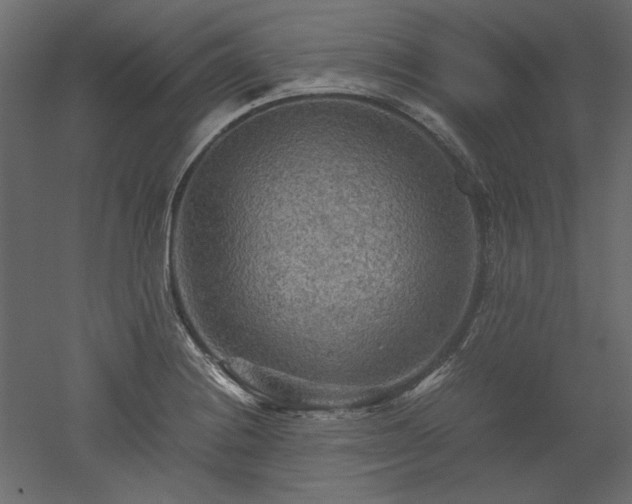 X0000051901228200507011459