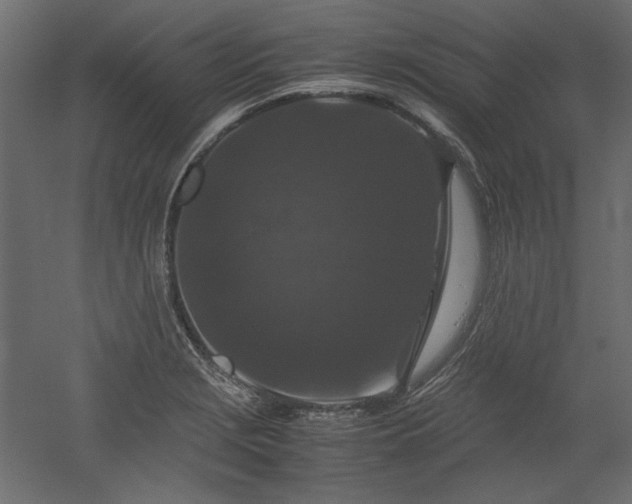 X0000051901229200507011459