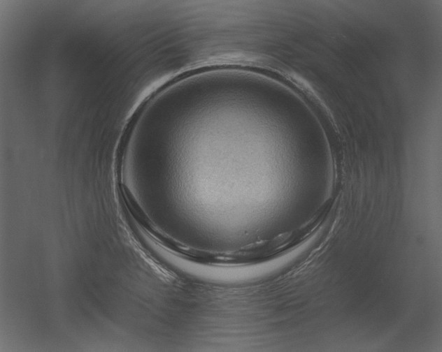 X0000051901230200507011459