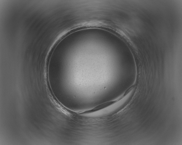 X0000051901232200507011459