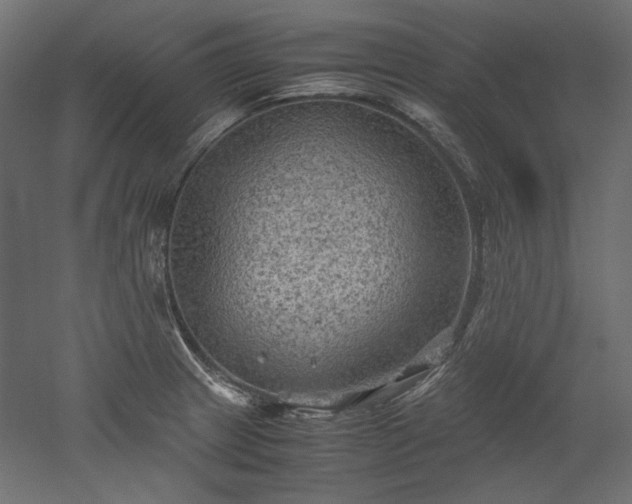 X0000051901233200507011459