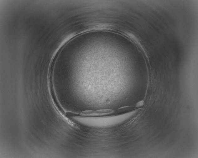 X0000051901235200507011459