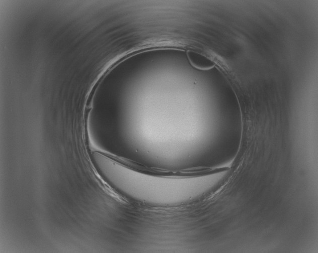 X0000051901236200507011459