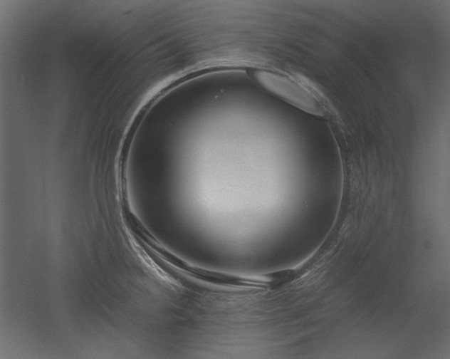 X0000051901238200507011459