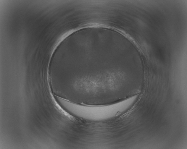 X0000051901239200507011459