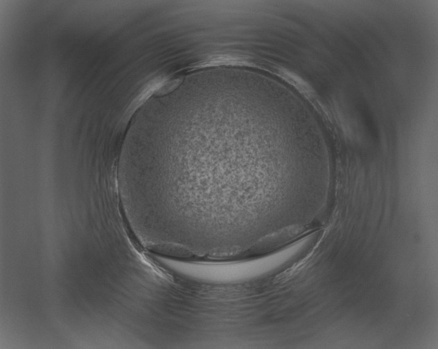 X0000051901241200507011459