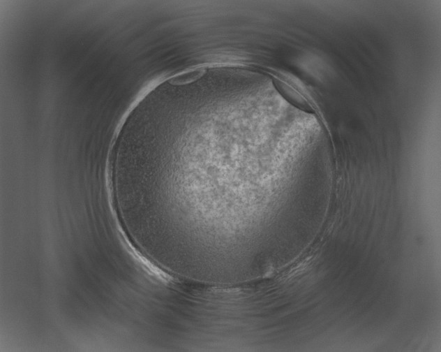 X0000051901243200507011459