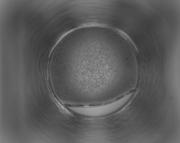 X0000051901244200507011459