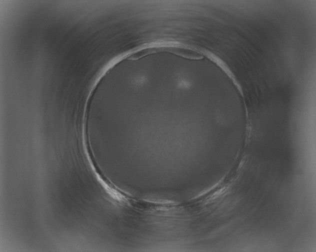 X0000051901245200507011459