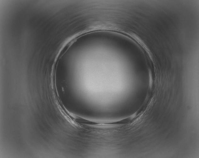 X0000051901246200507011459