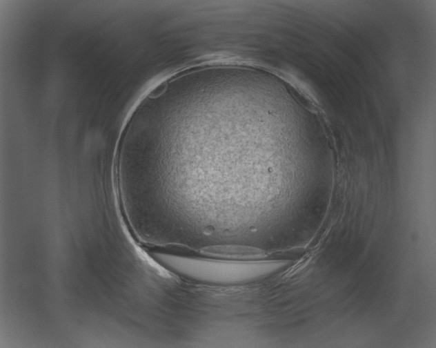 X0000051901247200507011459