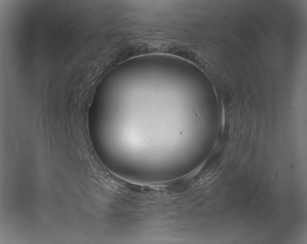 X0000051901249200507011458