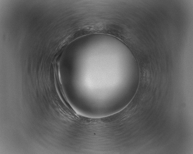 X0000051901250200507011458