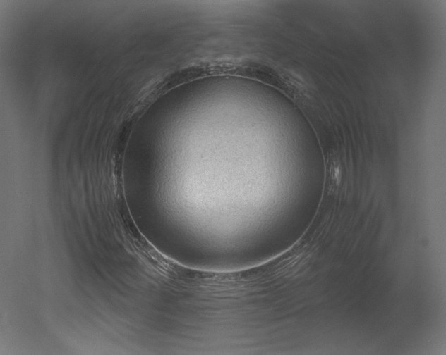 X0000051901252200507011458