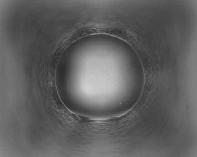 X0000051901253200507011458