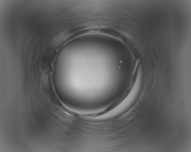 X0000051901257200507011458