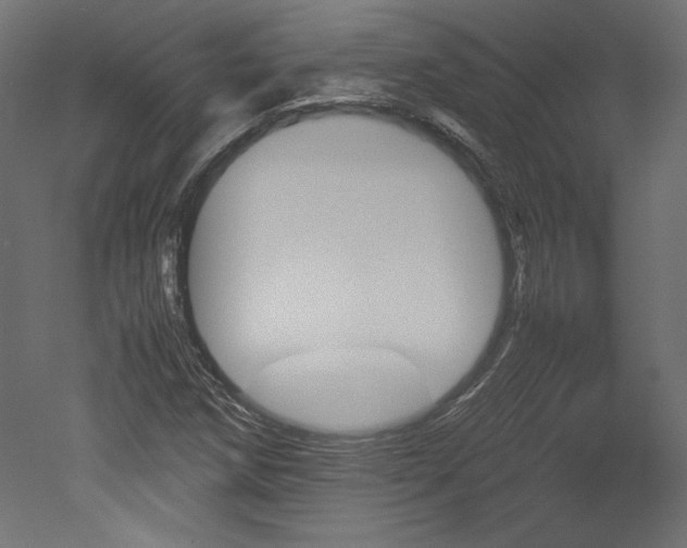 X0000051901258200507011458