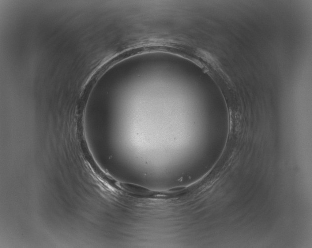 X0000051901260200507011458