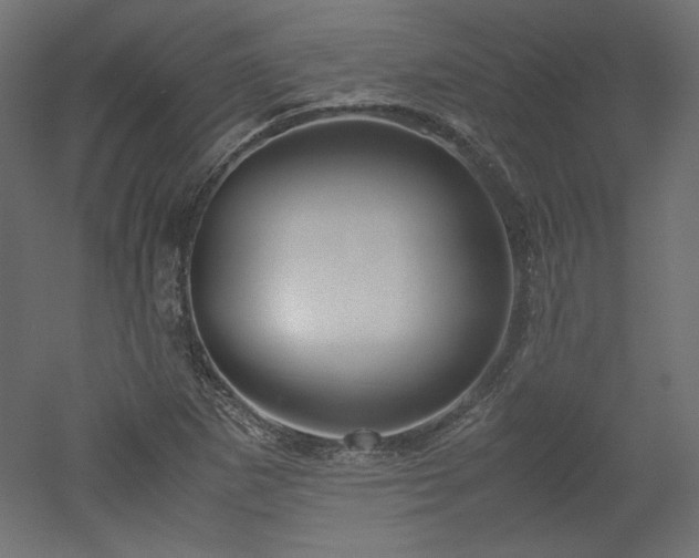 X0000051901265200507011458