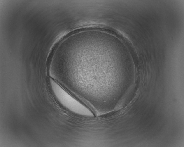 X0000051901267200507011458