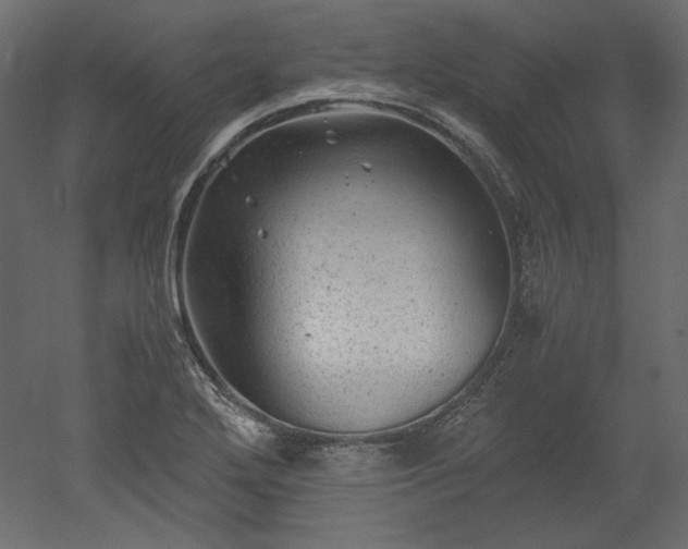 X0000051901272200507011458