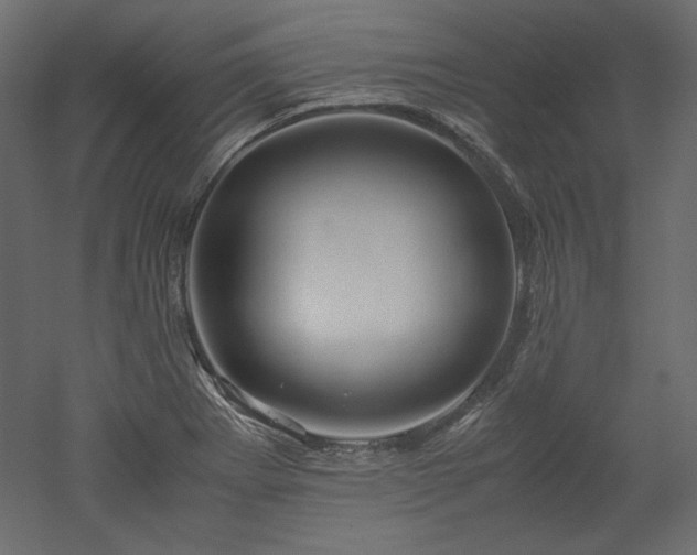 X0000051901273200507011458