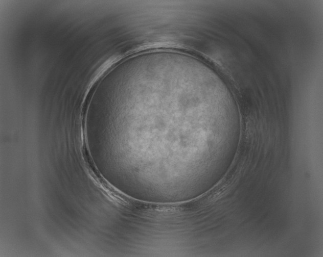 X0000051901274200507011458
