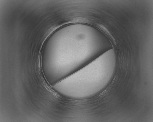 X0000051901276200507011458