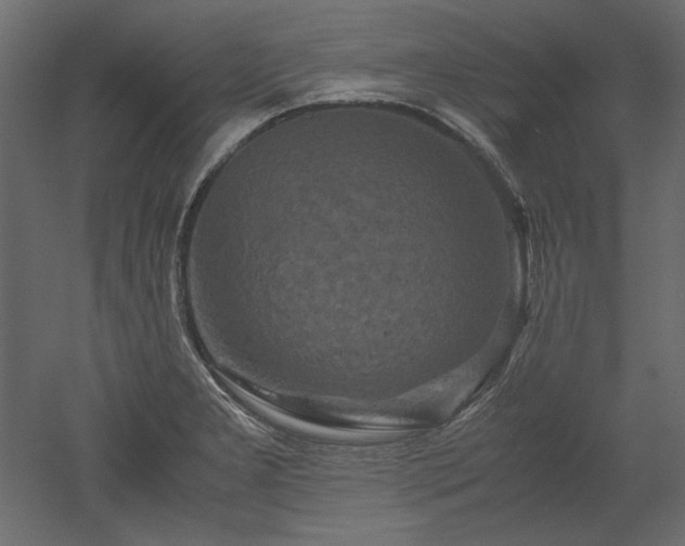 X0000051901277200507011458