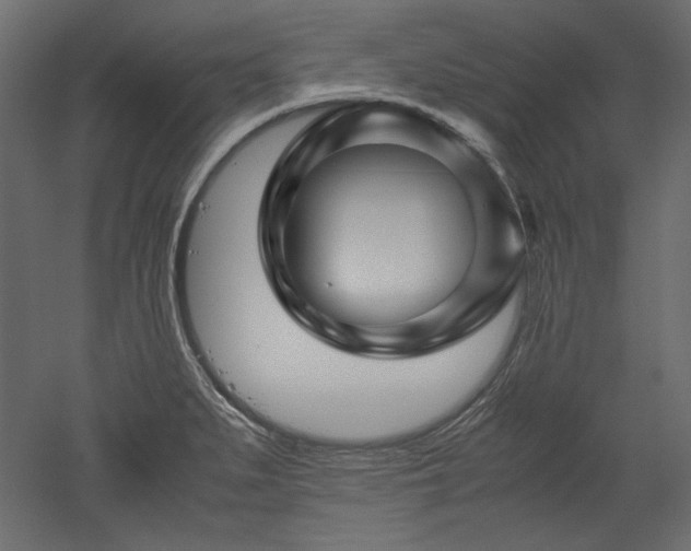 X0000051901279200507011458