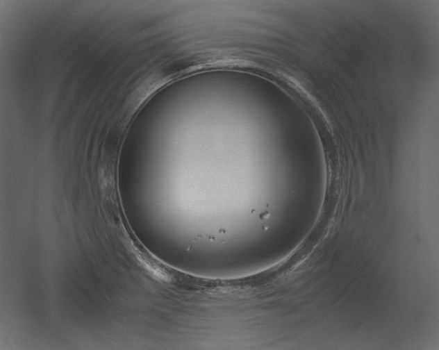 X0000051901281200507011457