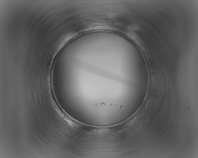 X0000051901282200507011457