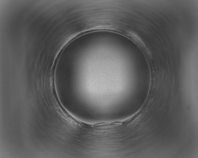 X0000051901284200507011457