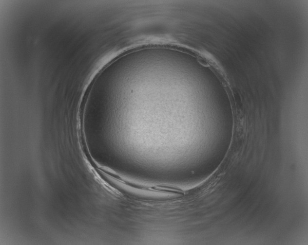 X0000051901287200507011457