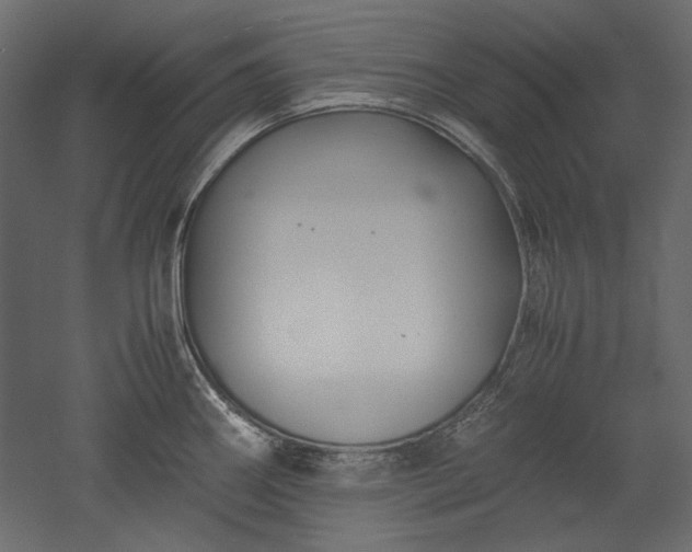 X0000051901290200507011457