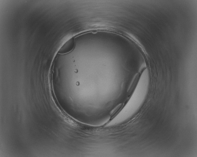 X0000051901291200507011457