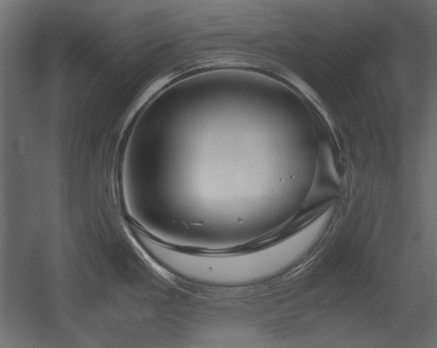 X0000051901293200507011457