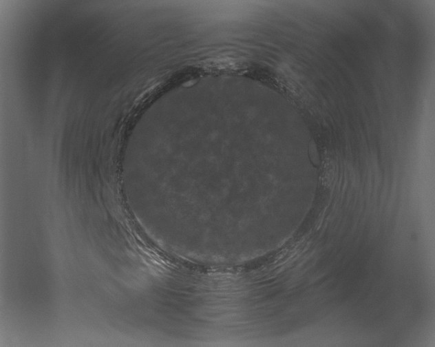 X0000051901297200507011456