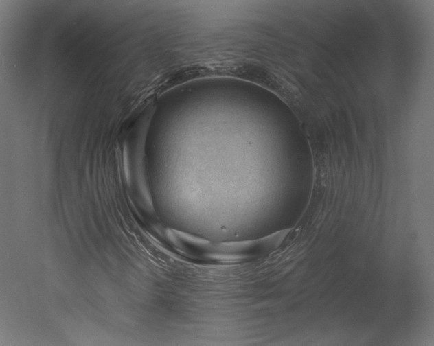 X0000051901298200507011456