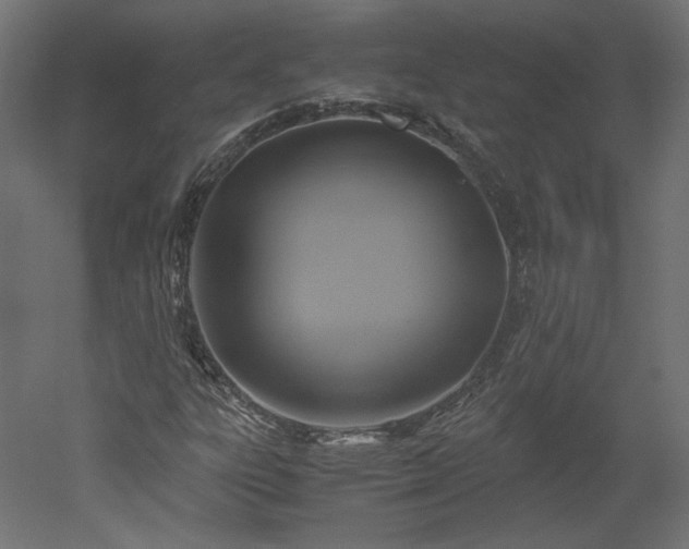 X0000051901303200507011457