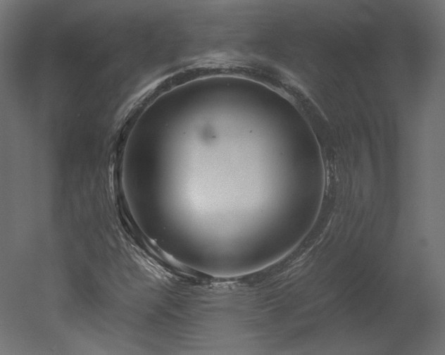 X0000051901304200507011457