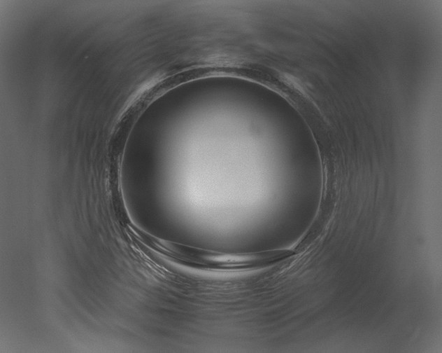X0000051901307200507011457