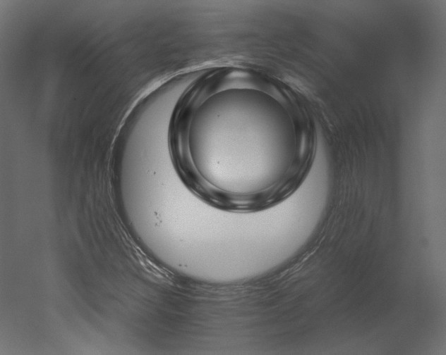 X0000051901308200507011457